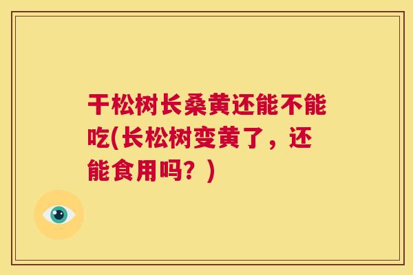 干松树长桑黄还能不能吃(长松树变黄了,还能食用吗?) 干松树长桑黄还能不能吃(长松树变黄了,还能食用吗?)
