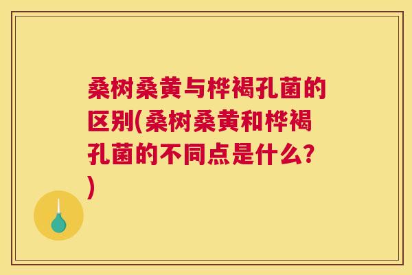 桑树桑黄与桦褐孔菌的区别(桑树桑黄和桦褐孔菌的不同点是什么?) 桑树桑黄与桦褐孔菌的区别(桑树桑黄和桦褐孔菌的不同点是什么?)