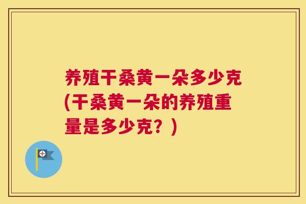 养殖干桑黄一朵多少克(干桑黄一朵的养殖重量是多少克?) 养殖干桑黄一朵多少克(干桑黄一朵的养殖重量是多少克?)