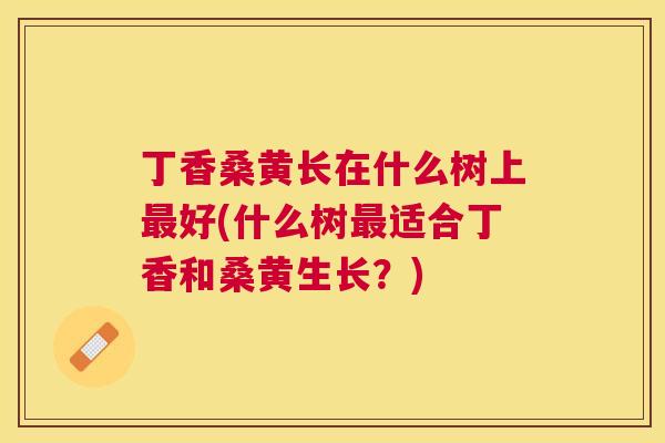 丁香桑黄长在什么树上好(什么树适合丁香和桑黄生长?) 丁香桑黄长在什么树上好(什么树适合丁香和桑黄生长?)