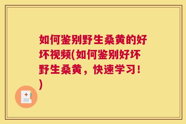 如何鉴别野生桑黄的好坏视频(如何鉴别好坏野生桑黄,快速学习!) 如何鉴别野生桑黄的好坏视频(如何鉴别好坏野生桑黄,快速学习!)