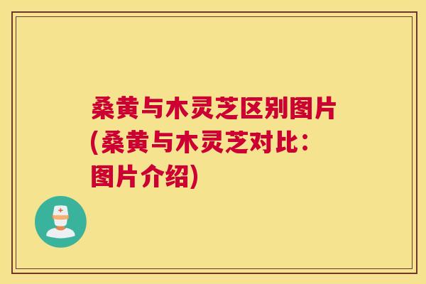 桑黄与木灵芝区别图片(桑黄与木灵芝对比:图片介绍) 桑黄与木灵芝区别图片(桑黄与木灵芝对比:图片介绍)