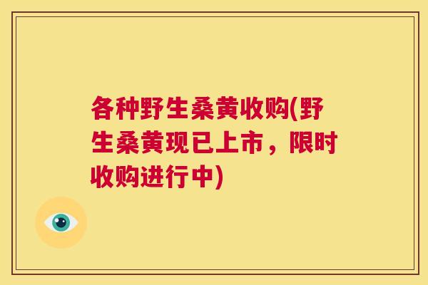 各种野生桑黄收购(野生桑黄现已上市,限时收购进行中) 各种野生桑黄收购(野生桑黄现已上市,限时收购进行中)