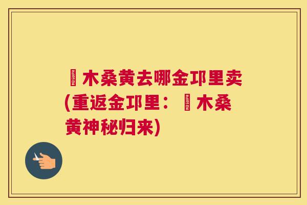 叒木桑黄去哪金邛里卖(重返金邛里：叒木桑黄神秘归来)