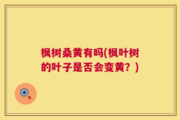 枫树桑黄有吗(枫叶树的叶子是否会变黄?) 枫树桑黄有吗(枫叶树的叶子是否会变黄?)