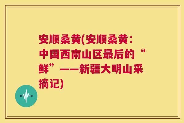安顺桑黄(安顺桑黄:中国西南山区后的“鲜”——新疆大明山采摘记) 安顺桑黄(安顺桑黄:中国西南山区后的“鲜”——新疆大明山采摘记)