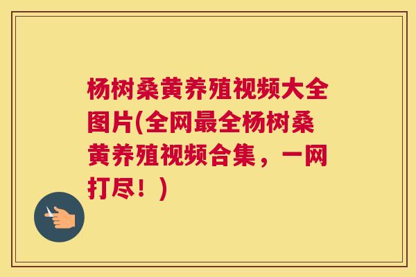 杨树桑黄养殖视频大全图片(全网全杨树桑黄养殖视频合集,一网打尽!) 杨树桑黄养殖视频大全图片(全网全杨树桑黄养殖视频合集,一网打尽!)