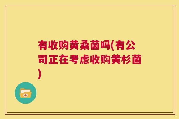 有收购黄桑菌吗(有公司正在考虑收购黄杉菌) 有收购黄桑菌吗(有公司正在考虑收购黄杉菌)
