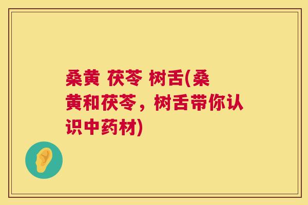 桑黄 茯苓 树舌(桑黄和茯苓,树舌带你认识材) 桑黄 茯苓 树舌(桑黄和茯苓,树舌带你认识材)