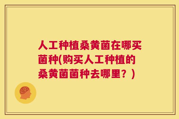 人工种植桑黄菌在哪买菌种(购买人工种植的桑黄菌菌种去哪里?) 人工种植桑黄菌在哪买菌种(购买人工种植的桑黄菌菌种去哪里?)