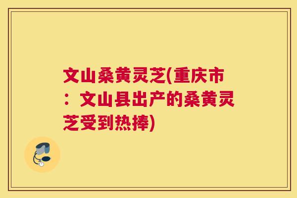 文山桑黄灵芝(重庆市:文山县出产的桑黄灵芝受到热捧) 文山桑黄灵芝(重庆市:文山县出产的桑黄灵芝受到热捧)
