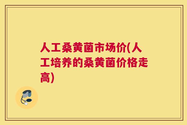 人工桑黄菌市场价(人工培养的桑黄菌价格走高) 人工桑黄菌市场价(人工培养的桑黄菌价格走高)