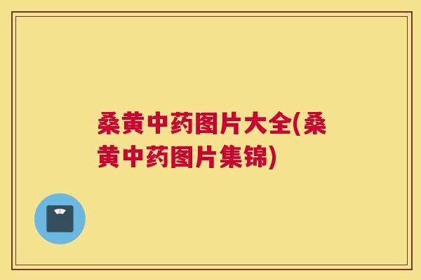 桑黄图片大全(桑黄图片集锦) 桑黄图片大全(桑黄图片集锦)