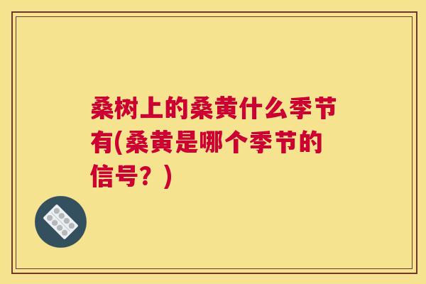 桑树上的桑黄什么季节有(桑黄是哪个季节的信号?) 桑树上的桑黄什么季节有(桑黄是哪个季节的信号?)