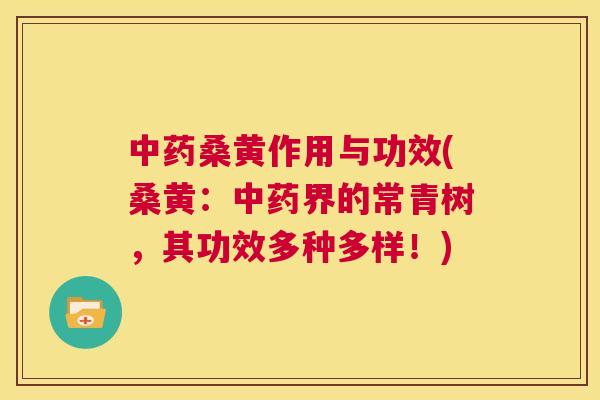 桑黄作用与功效(桑黄:界的常青树,其功效多种多样!) 桑黄作用与功效(桑黄:界的常青树,其功效多种多样!)