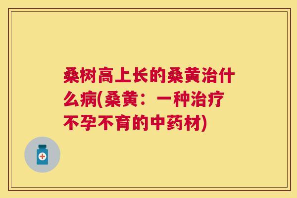 桑树高上长的桑黄什么(桑黄:一种不孕不育的材) 桑树高上长的桑黄什么(桑黄:一种不孕不育的材)