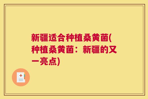 新疆适合种植桑黄菌(种植桑黄菌:新疆的又一亮点) 新疆适合种植桑黄菌(种植桑黄菌:新疆的又一亮点)