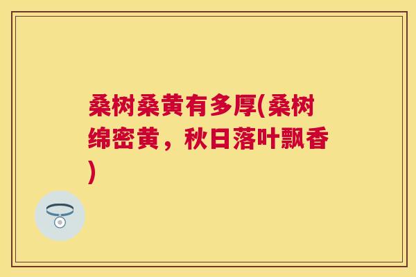 桑树桑黄有多厚(桑树绵密黄,秋日落叶飘香) 桑树桑黄有多厚(桑树绵密黄,秋日落叶飘香)