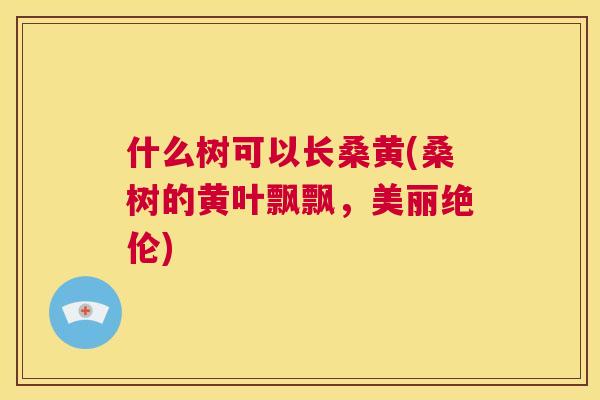 什么树可以长桑黄(桑树的黄叶飘飘,美丽绝伦) 什么树可以长桑黄(桑树的黄叶飘飘,美丽绝伦)