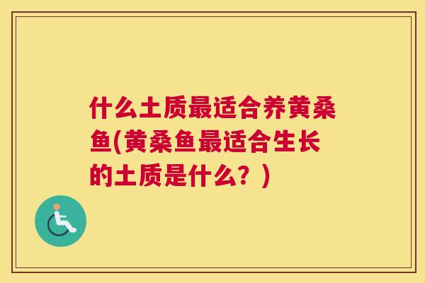 什么土质适合养黄桑鱼(黄桑鱼适合生长的土质是什么？)