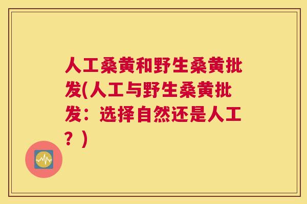 人工桑黄和野生桑黄批发(人工与野生桑黄批发:选择自然还是人工?) 人工桑黄和野生桑黄批发(人工与野生桑黄批发:选择自然还是人工?)