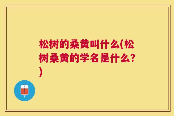 松树的桑黄叫什么(松树桑黄的学名是什么?) 松树的桑黄叫什么(松树桑黄的学名是什么?)