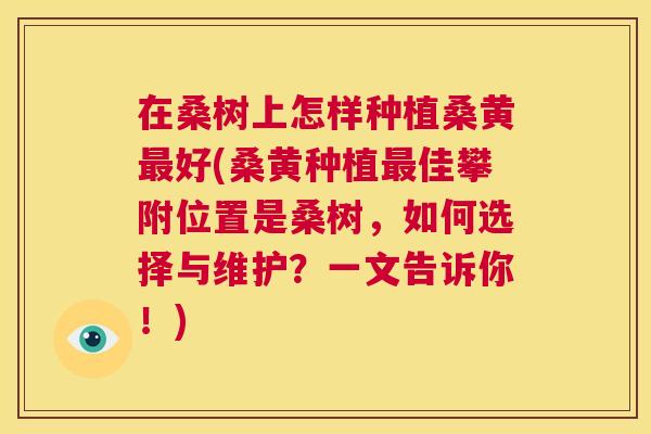 在桑树上怎样种植桑黄好(桑黄种植佳攀附位置是桑树,如何选择与维护?一文告诉你!) 在桑树上怎样种植桑黄好(桑黄种植佳攀附位置是桑树,如何选择与维护?一文告诉你!)