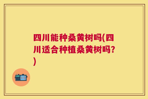 四川能种桑黄树吗(四川适合种植桑黄树吗?) 四川能种桑黄树吗(四川适合种植桑黄树吗?)