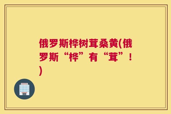 俄罗斯桦树茸桑黄(俄罗斯“桦”有“茸”!) 俄罗斯桦树茸桑黄(俄罗斯“桦”有“茸”!)