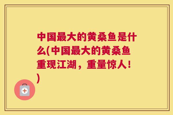 中国大的黄桑鱼是什么(中国大的黄桑鱼重现江湖,重量惊人!) 中国大的黄桑鱼是什么(中国大的黄桑鱼重现江湖,重量惊人!)