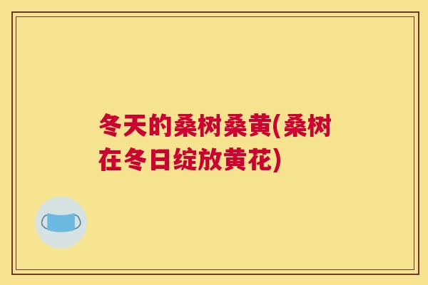 冬天的桑树桑黄(桑树在冬日绽放黄花) 冬天的桑树桑黄(桑树在冬日绽放黄花)