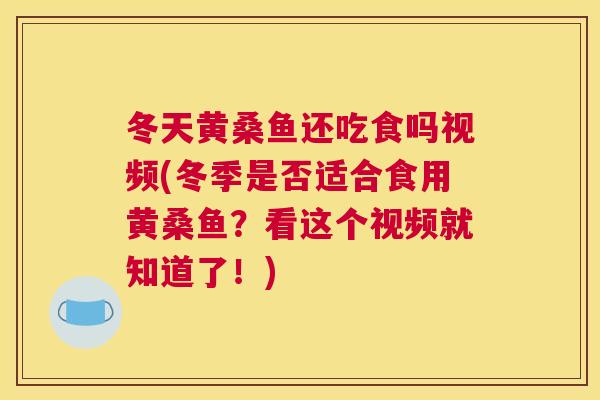 冬天黄桑鱼还吃食吗视频(冬季是否适合食用黄桑鱼?看这个视频就知道了!) 冬天黄桑鱼还吃食吗视频(冬季是否适合食用黄桑鱼?看这个视频就知道了!)