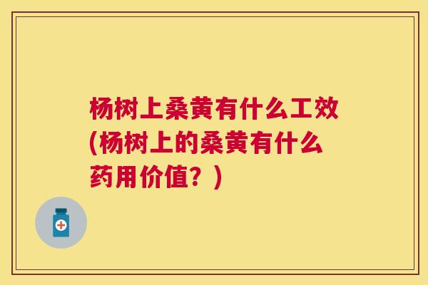 杨树上桑黄有什么工效(杨树上的桑黄有什么药用价值?) 杨树上桑黄有什么工效(杨树上的桑黄有什么药用价值?)