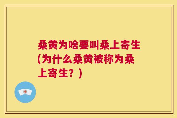 桑黄为啥要叫桑上寄生(为什么桑黄被称为桑上寄生?) 桑黄为啥要叫桑上寄生(为什么桑黄被称为桑上寄生?)