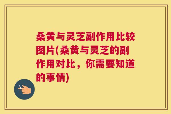 桑黄与灵芝副作用比较图片(桑黄与灵芝的副作用对比，你需要知道的事情)