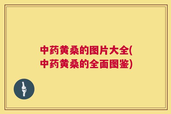 黄桑的图片大全(黄桑的全面图鉴) 黄桑的图片大全(黄桑的全面图鉴)