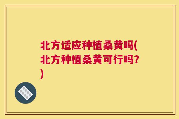 北方适应种植桑黄吗(北方种植桑黄可行吗?) 北方适应种植桑黄吗(北方种植桑黄可行吗?)