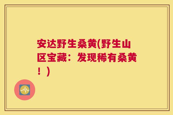 安达野生桑黄(野生山区宝藏:发现稀有桑黄!) 安达野生桑黄(野生山区宝藏:发现稀有桑黄!)