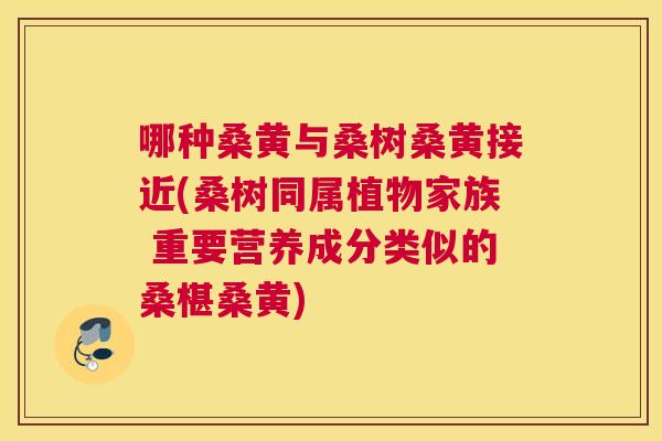 哪种桑黄与桑树桑黄接近(桑树同属植物家族 重要营养成分类似的桑椹桑黄) 哪种桑黄与桑树桑黄接近(桑树同属植物家族 重要营养成分类似的桑椹桑黄)