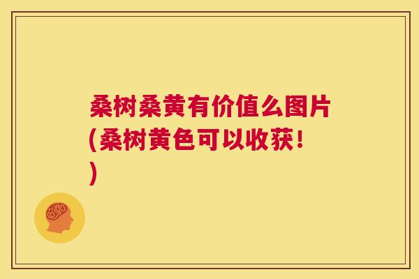 桑树桑黄有价值么图片(桑树黄色可以收获!) 桑树桑黄有价值么图片(桑树黄色可以收获!)