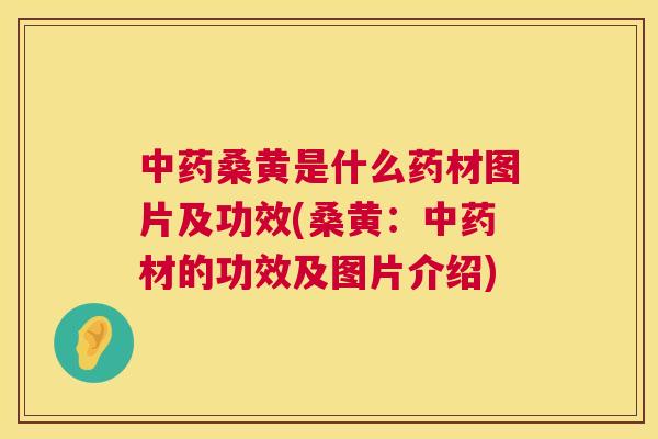 桑黄是什么药材图片及功效(桑黄:材的功效及图片介绍) 桑黄是什么药材图片及功效(桑黄:材的功效及图片介绍)