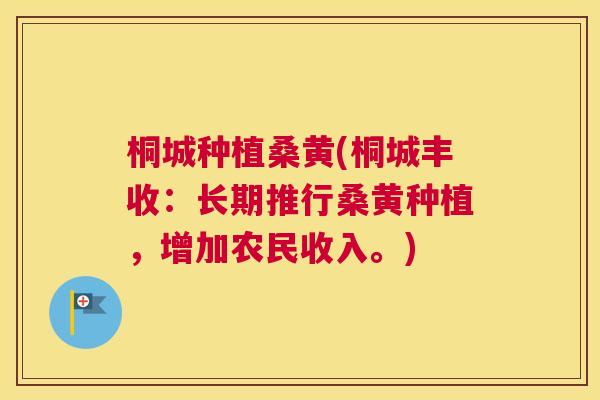 桐城种植桑黄(桐城丰收:长期推行桑黄种植,增加农民收入。) 桐城种植桑黄(桐城丰收:长期推行桑黄种植,增加农民收入。)