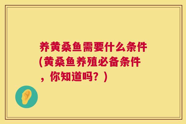养黄桑鱼需要什么条件(黄桑鱼养殖必备条件,你知道吗?) 养黄桑鱼需要什么条件(黄桑鱼养殖必备条件,你知道吗?)