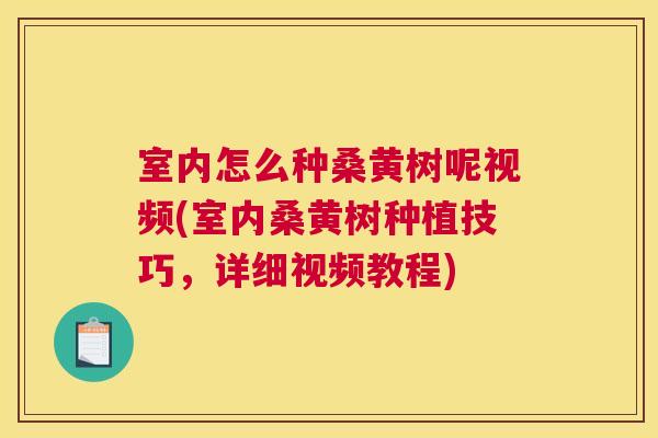 室内怎么种桑黄树呢视频(室内桑黄树种植技巧,详细视频教程) 室内怎么种桑黄树呢视频(室内桑黄树种植技巧,详细视频教程)