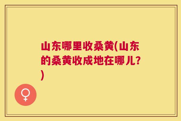 山东哪里收桑黄(山东的桑黄收成地在哪儿?) 山东哪里收桑黄(山东的桑黄收成地在哪儿?)
