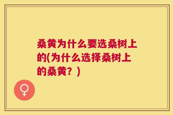 桑黄为什么要选桑树上的(为什么选择桑树上的桑黄?) 桑黄为什么要选桑树上的(为什么选择桑树上的桑黄?)