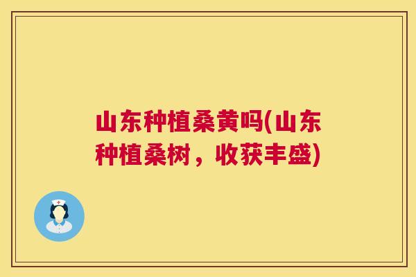 山东种植桑黄吗(山东种植桑树,收获丰盛) 山东种植桑黄吗(山东种植桑树,收获丰盛)