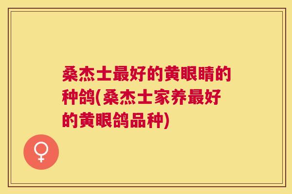 桑杰士好的黄眼睛的种鸽(桑杰士家养好的黄眼鸽品种) 桑杰士好的黄眼睛的种鸽(桑杰士家养好的黄眼鸽品种)