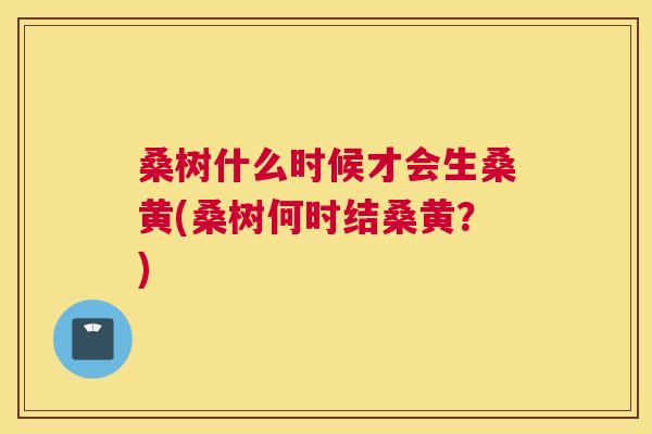 桑树什么时候才会生桑黄(桑树何时结桑黄?) 桑树什么时候才会生桑黄(桑树何时结桑黄?)