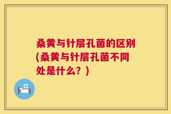 桑黄与针层孔菌的区别(桑黄与针层孔菌不同处是什么?) 桑黄与针层孔菌的区别(桑黄与针层孔菌不同处是什么?)